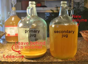 Primary and secondary jugs side by side, marked to show the volume to leave behind with the lees