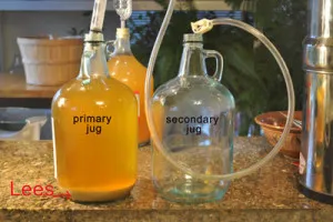 Cider siphoning from the primary jug into the empty secondary jug, with the lees marked at the bottom