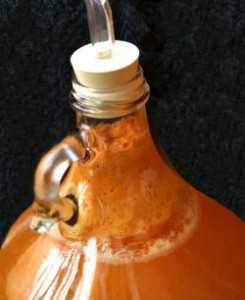 how to homebrew cider